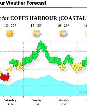 Woopi Forecast