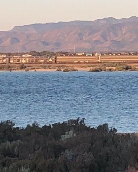 Port augusta