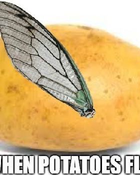 Flying potato