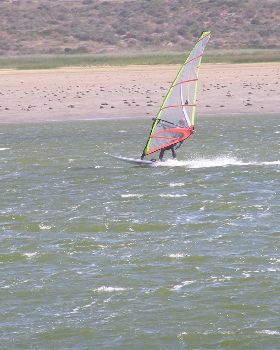 Dad (Peter) at Goolwa on the 22nd of November 2008
