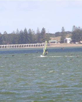Dad (Peter) at Goolwa on the 22nd of November 2008