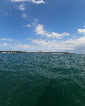 MPSC WNSW FF Race 2023