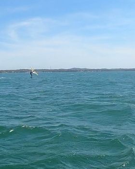 NSW Slalom Heat 2 20233