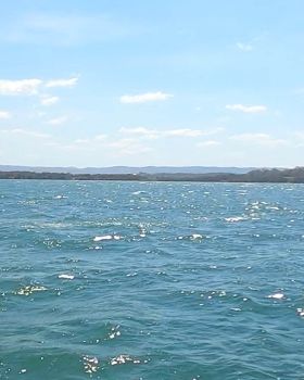 NSW Slalom Heat 2 20233
