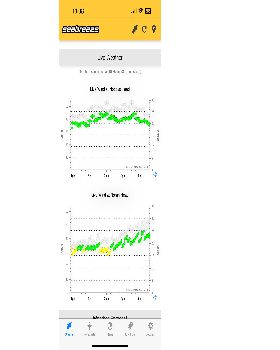 NSW slalom races