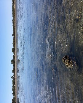 Coodanup Rocks