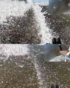 Fin wake Fangy vs Flex