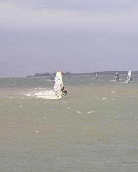 What an arvo