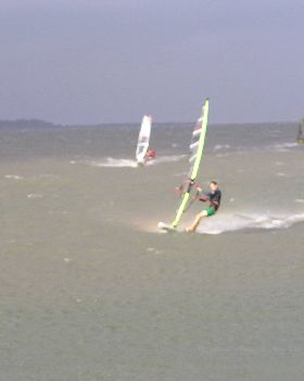 What an arvo