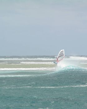 outer w.a 2008