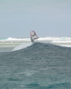 outer w.a 2008