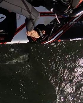 F4 Wahoo