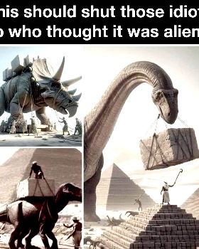 not aliens