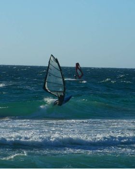 Scabs 17-12-08