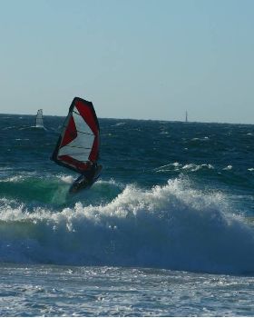 Scabs 17-12-08