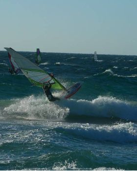 Scabs 17-12-08