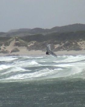 australia day 2