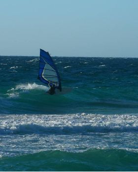 Scabs 17-12-08