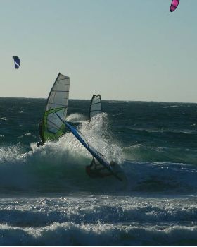 Scabs 17-12-08