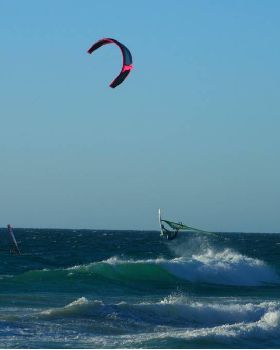 Scabs 17-12-08