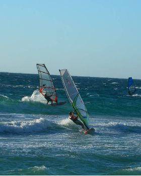 Scabs 17-12-08