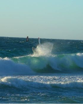 Scabs 17-12-08