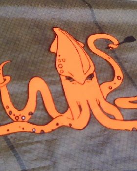 Sail sticker