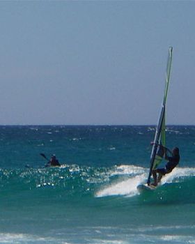 Ollie catching a wave