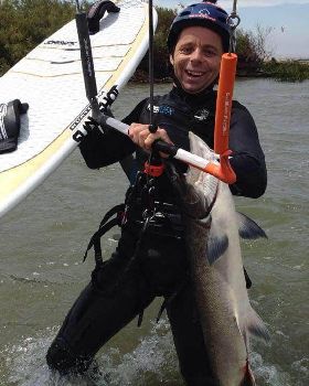 Salmon