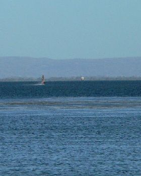 The Big Fella Heading Upwind at end of run