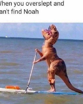 28 Photos So Dumb They Might Be Funny