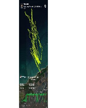 20241105184521longdetaillocation
