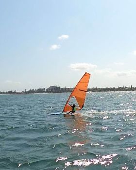 Fun in the Sun