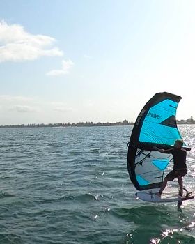 Fun in the Sun