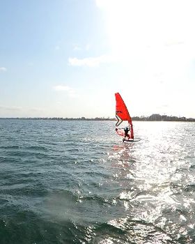 Fun in the Sun