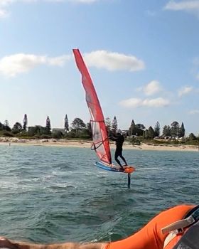Fun in the Sun