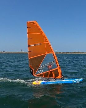 Fun in the Sun