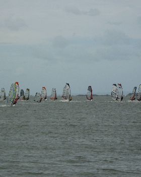 waterloo cup 09