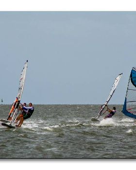 Waterloo Cup 04.01.09