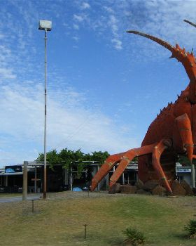 Lobster