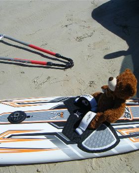 Barney the windsurfing bear