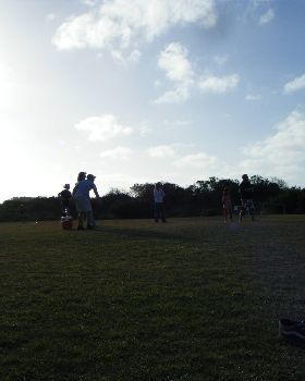 cricket