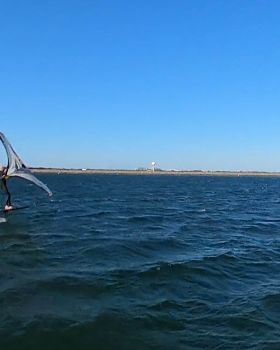 Spring session 2025 Fin Foil Wing Para