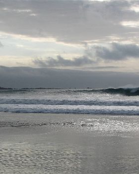 Fly Cove