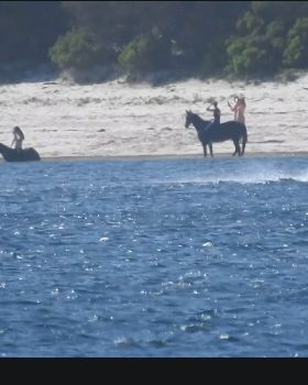 NSW Slalom Racing at it's best