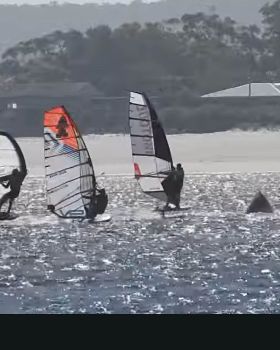NSW Slalom Racing at it's best