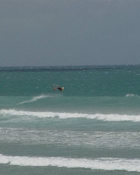 DSC01368