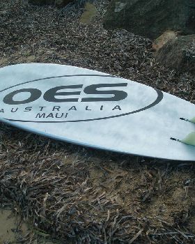 OEStwinfin95L in SA