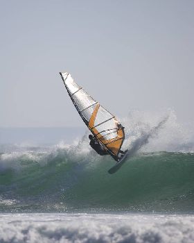 OES Twin Fins