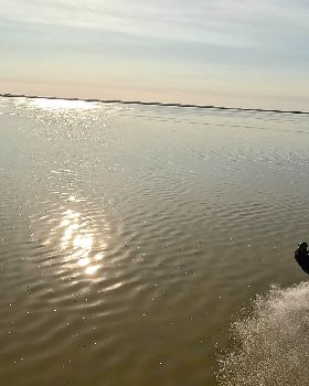 1000017537